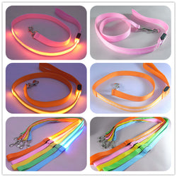 Safety Pet Leash With LED By Project Pet Lovers Club